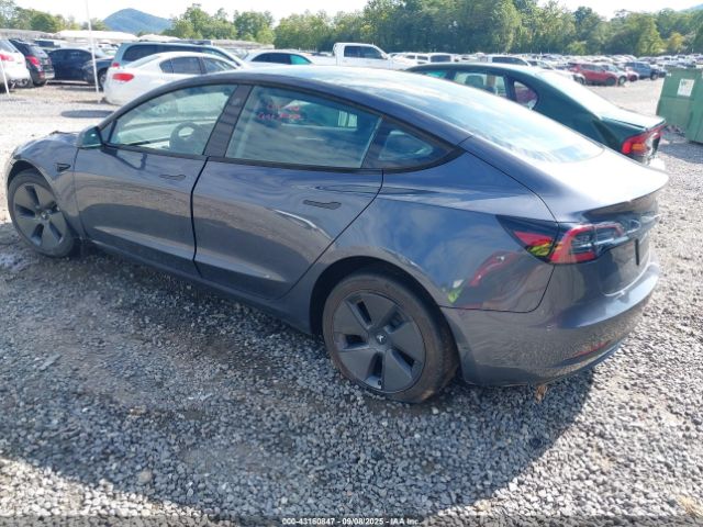 2023 TESLA MODEL 3 5YJ3E1EB2PF703786 Photo 2