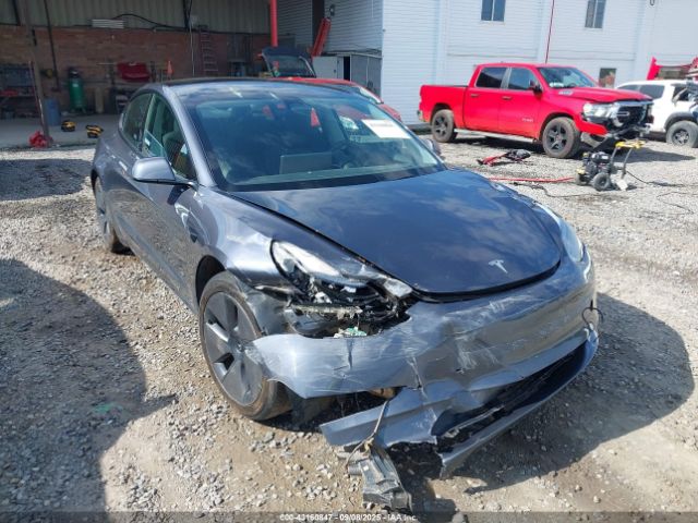 2023 TESLA MODEL 3 5YJ3E1EB2PF703786 Photo 5