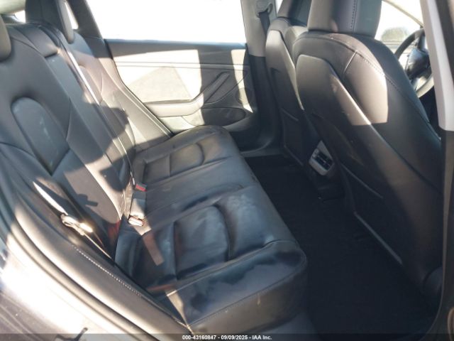 2023 TESLA MODEL 3 5YJ3E1EB2PF703786 Photo 7