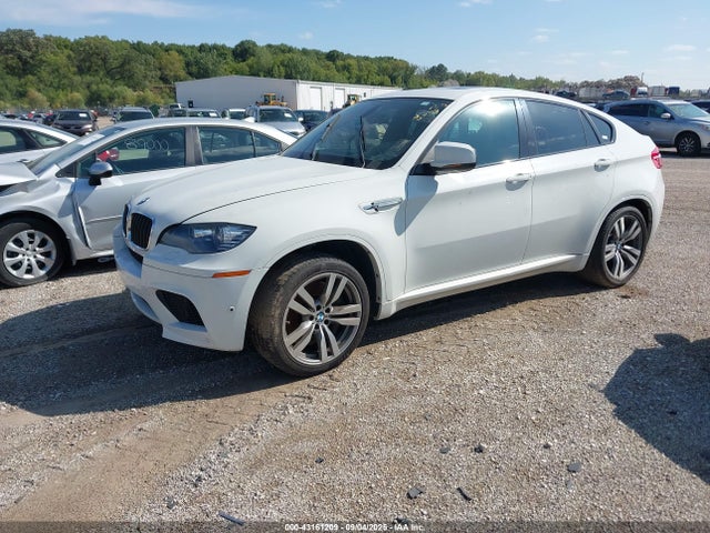 2012 BMW X6 M 5YMGZ0C55CLL29654 Photo 1