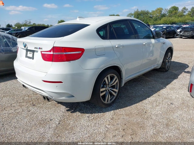 2012 BMW X6 M 5YMGZ0C55CLL29654 Photo 3