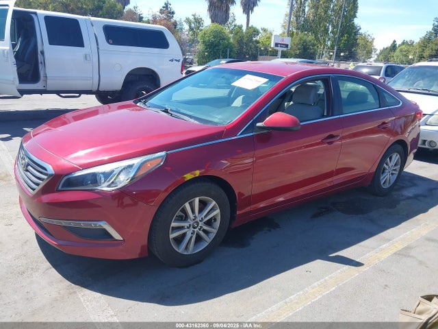 5NPE24AF0FH184118 Hyundai Sonata
