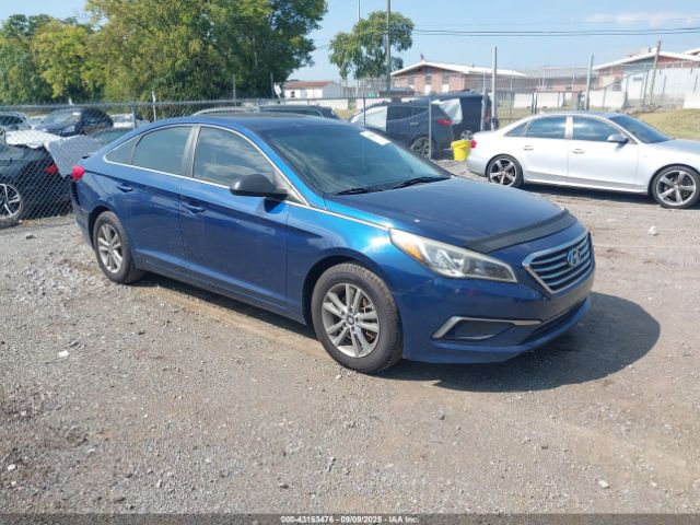 2017 HYUNDAI SONATA 5NPE24AF5HH553011