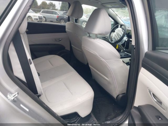 2025 HYUNDAI TUCSON HYBRID KM8JBDD15SU309074 Photo 7