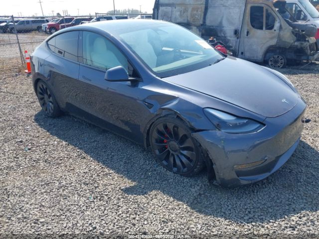2023 TESLA MODEL Y 7SAYGDEF2PF712401