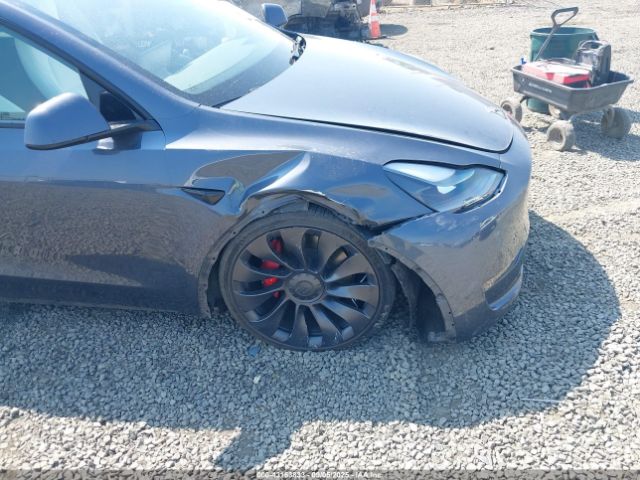 2023 TESLA MODEL Y 7SAYGDEF2PF712401 Photo 5