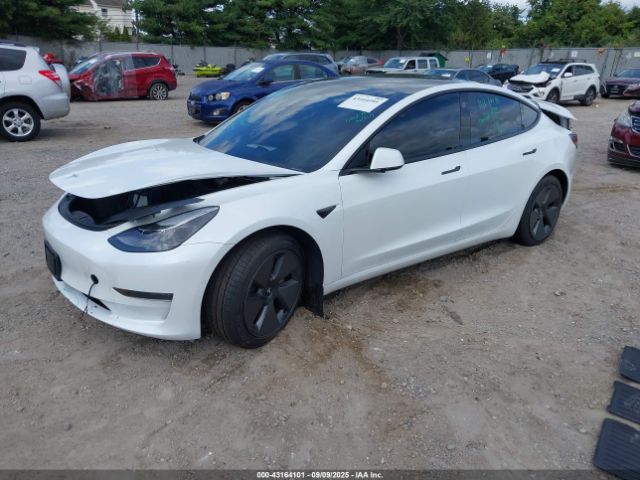 2021 TESLA MODEL 3 5YJ3E1EA6MF052276 Photo 1