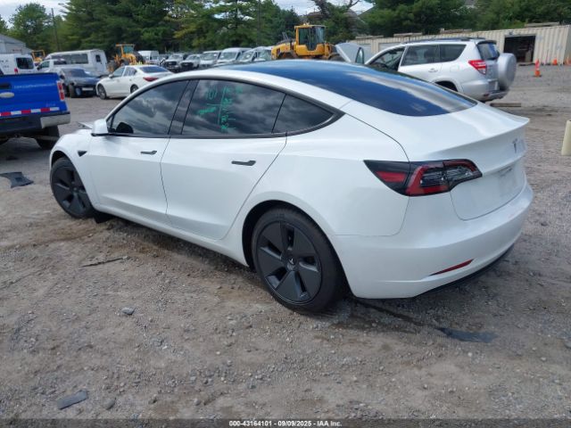 2021 TESLA MODEL 3 5YJ3E1EA6MF052276 Photo 2