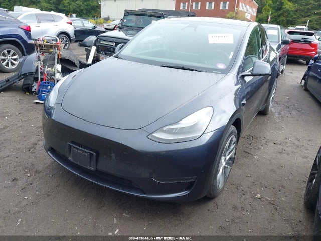 Tesla 2024 2024 7SAYGDEE7RA228960 Image 2