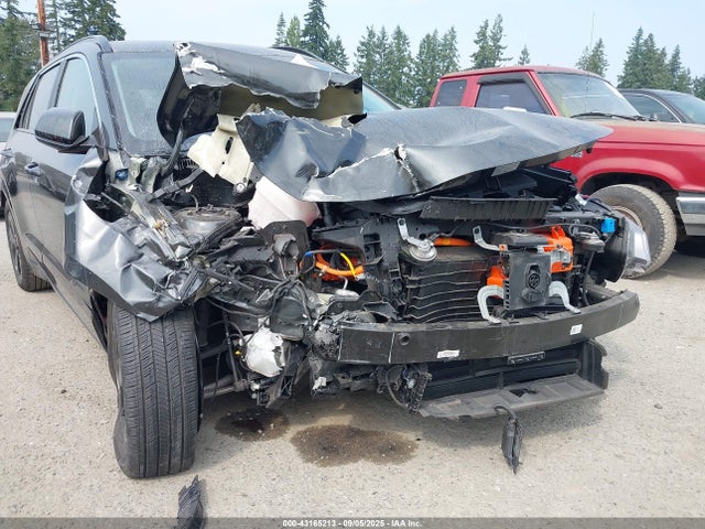 KNDCR3L14R5114494 KIA 2024