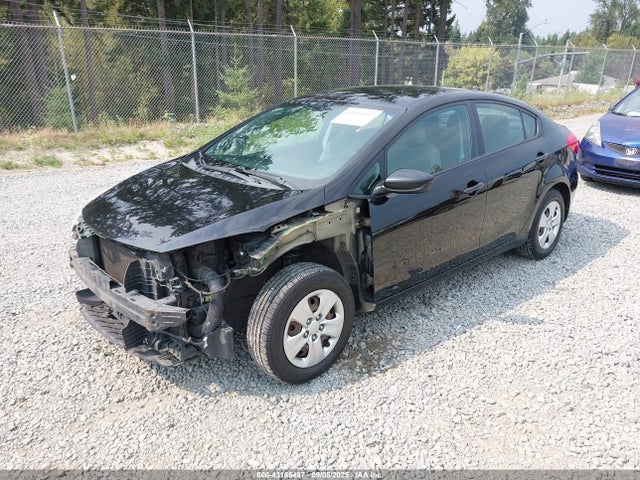 KNAFK4A62E5065499 KIA Forte