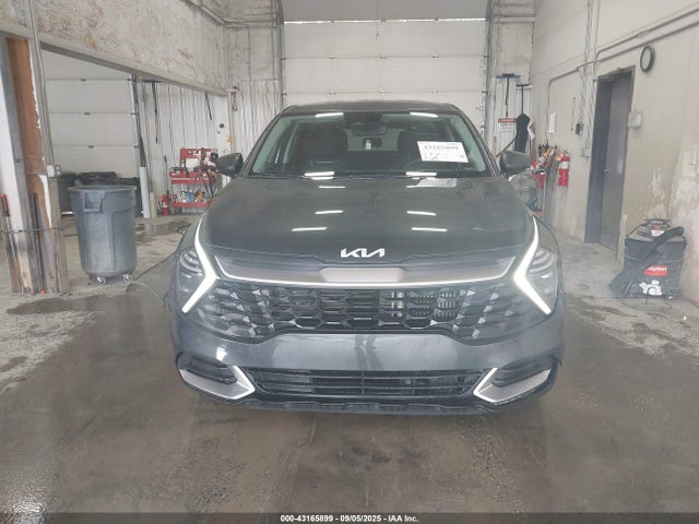 KNDPUCDGXR7173170 KIA Sportage Hybrid Lx
