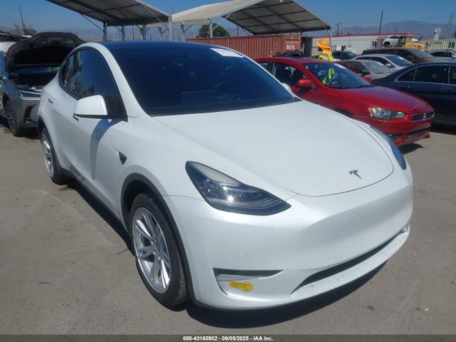 2022 TESLA MODEL Y 7SAYGDEE6NF423753 Photo 0