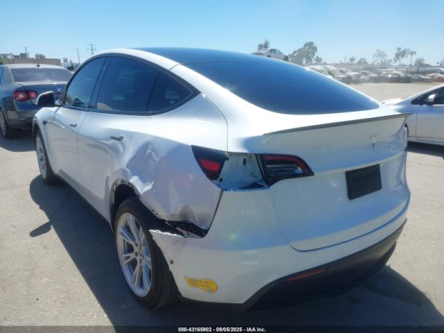 2022 TESLA MODEL Y 7SAYGDEE6NF423753 Photo 2