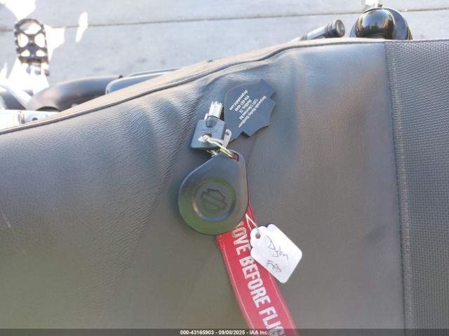 2017 HARLEY-DAVIDSON FXDL 1HD1GNM15HC323694 Photo 10