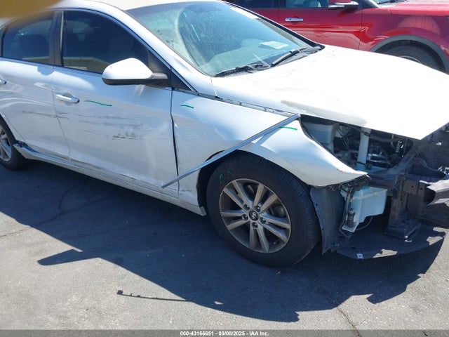 5NPE24AFXHH546328 Hyundai Sonata