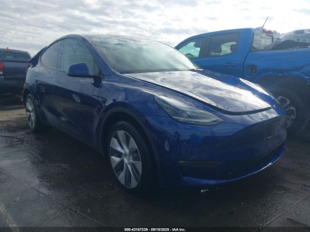 2023 TESLA MODEL Y 7SAYGDEE6PF685923 Photo 0