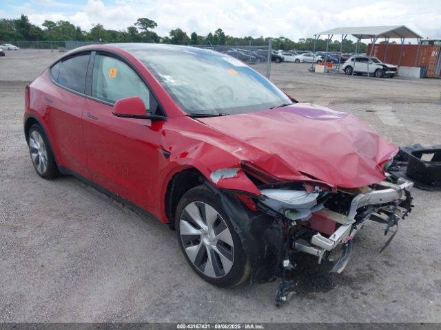 2023 TESLA MODEL Y 7SAYGAEE6PF777290 Photo 0