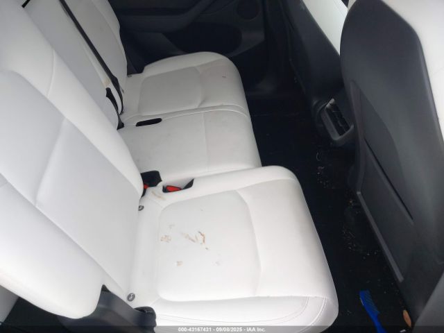 2023 TESLA MODEL Y 7SAYGAEE6PF777290 Photo 7