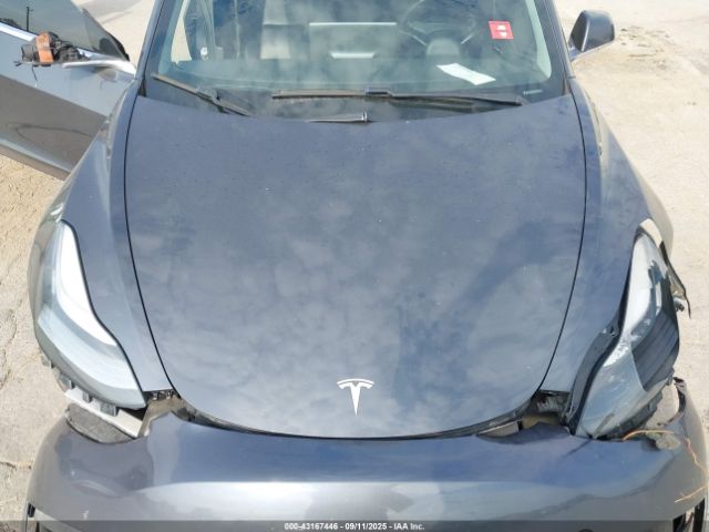 2019 TESLA MODEL 3 5YJ3E1EA0KF397526 Photo 9