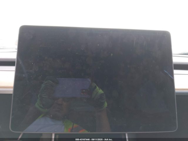 2019 TESLA MODEL 3 5YJ3E1EA0KF397526 Photo 6