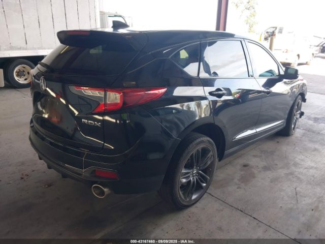 2019 ACURA RDX 5J8TC1H62KL004055 Photo 3