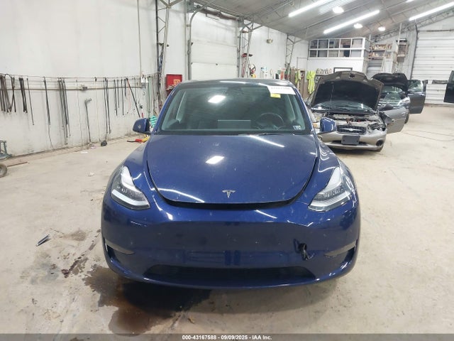Tesla 2021 2021 5YJYGDEE2MF159264 Image 13
