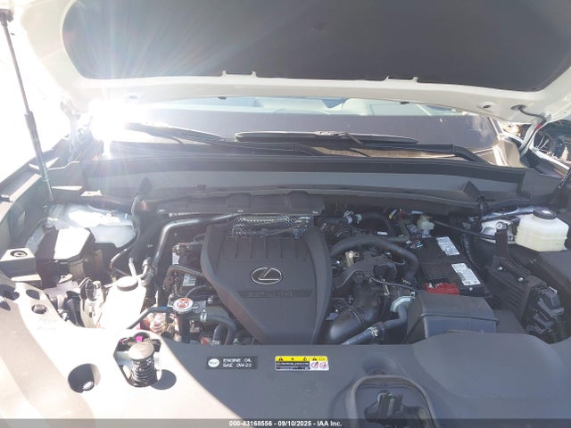Lexus t24a-fts 2025 5TDAAAB68SS033241 Image 10