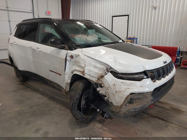 3C4NJDDN1PT527980 Jeep Compass