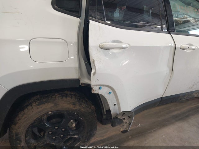3C4NJDDN1PT527980 Jeep Compass