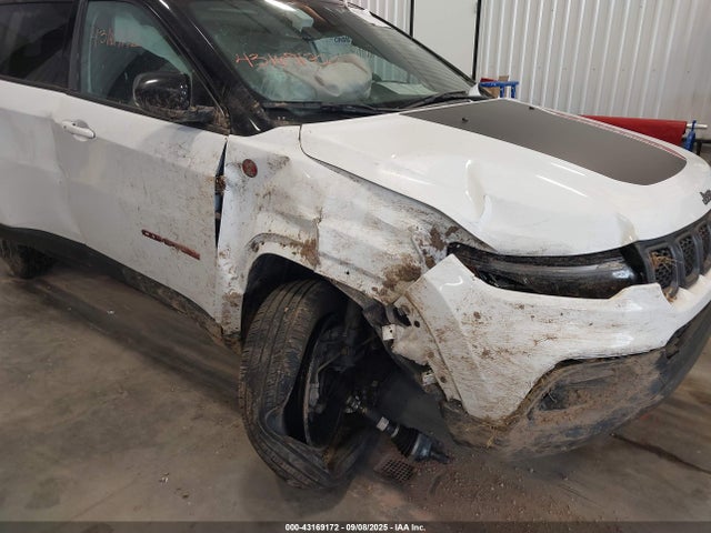 3C4NJDDN1PT527980 Jeep Compass