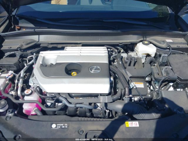 2024 LEXUS UX 250H JTHP9JBH4R2076320 Photo 9