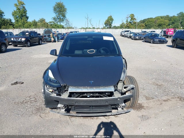 2023 Tesla Model Y მანქანა იყიდება აუქციონზე, vin: 7SAYGAEE0PF606695, აუქციონის ნომერი: 43169768