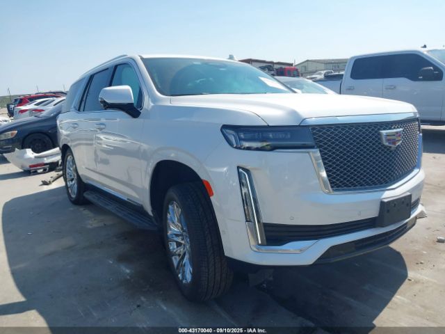 2021 CADILLAC ESCALADE 1GYS4BKL2MR480828