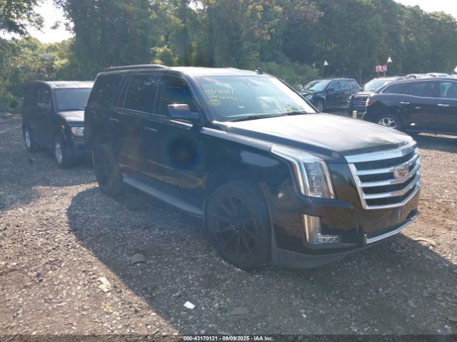 2015 CADILLAC ESCALADE 1GYS4BKJ0FR297641 Photo 0
