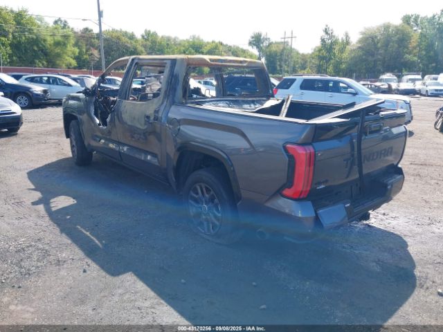 2024 TOYOTA TUNDRA 5TFNA5DB6RX231615 Photo 2