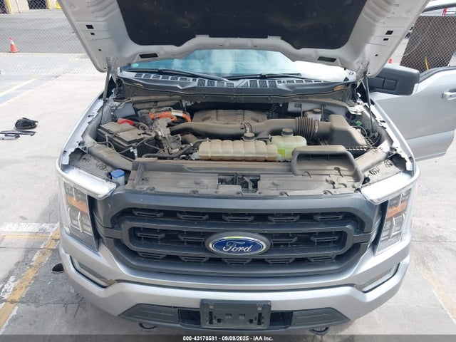 Ford hev 2021 1FTFW1ED7MFC89455 Image 10