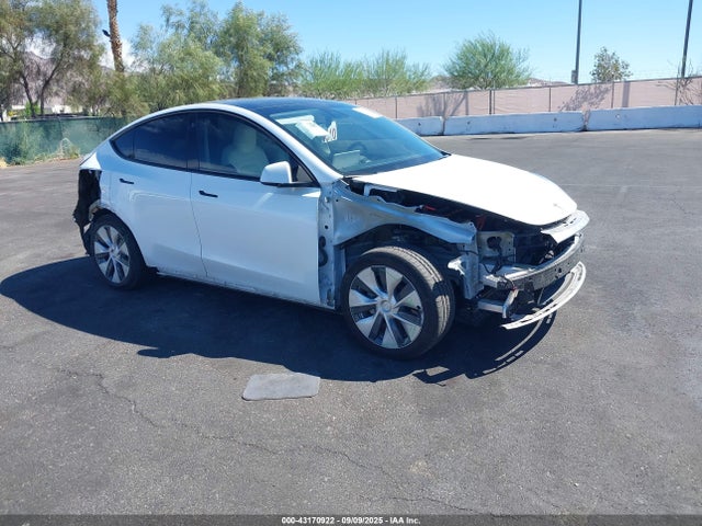 2021 TESLA MODEL Y 5YJYGDEE3MF219908 Photo 0