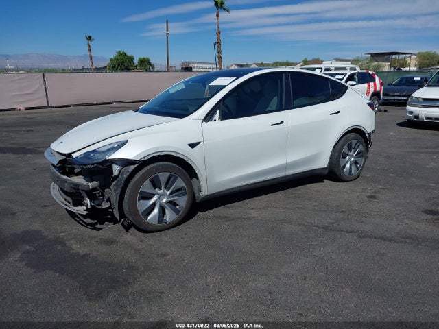 2021 TESLA MODEL Y 5YJYGDEE3MF219908 Photo 1