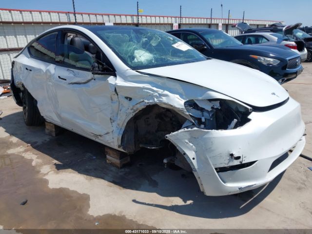 2020 TESLA MODEL Y 5YJYGDEF5LF002626 Photo 0