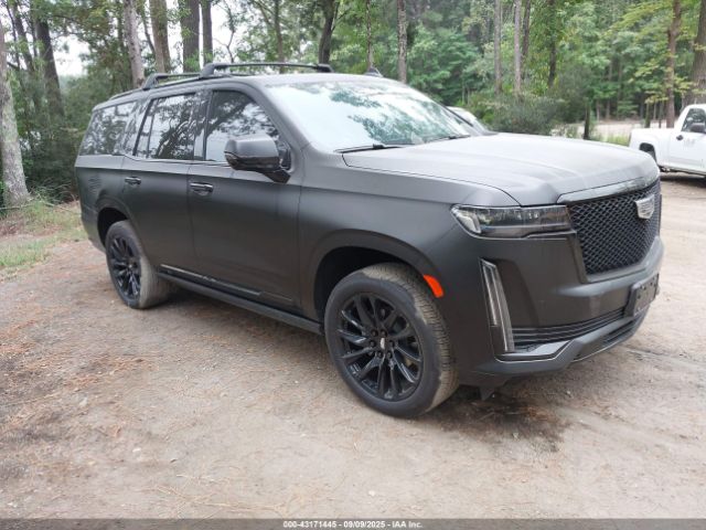 2024 CADILLAC ESCALADE 1GYS4GKL5RR270342