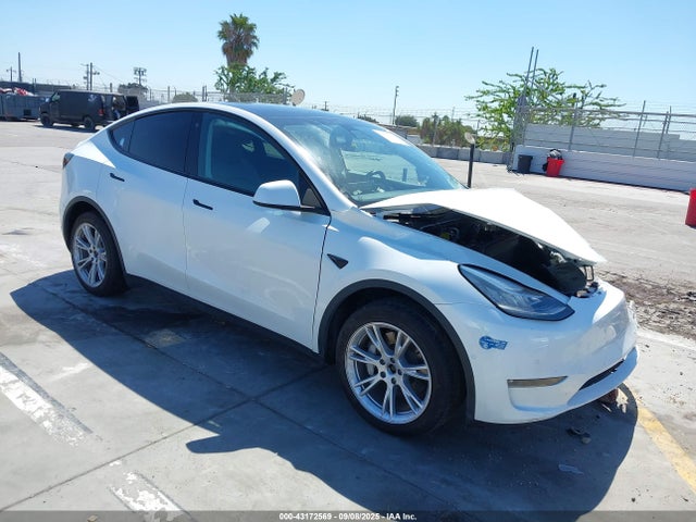 2021 TESLA MODEL Y 5YJYGDEE2MF270641 Photo 0