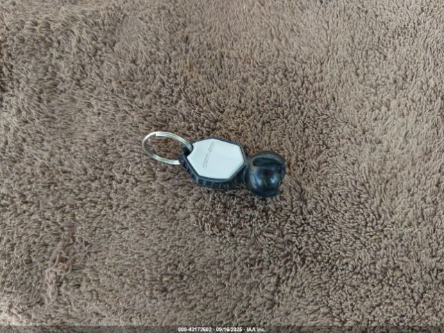 2024 CAN-AM RENEGADE 3JBMXAX44RJ000254 Photo 10