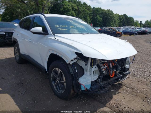 2025 HYUNDAI TUCSON HYBRID KM8JBDD18SU325835