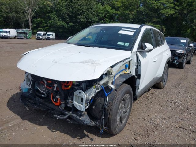 2025 HYUNDAI TUCSON HYBRID KM8JBDD18SU325835 Photo 1