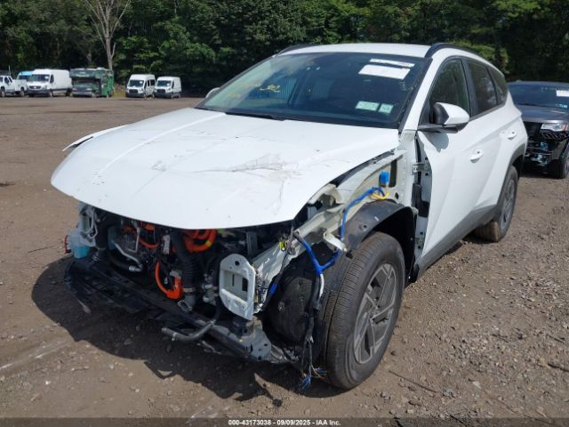 2025 HYUNDAI TUCSON HYBRID KM8JBDD18SU325835 Photo 5