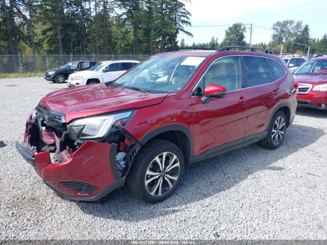 2024 SUBARU FORESTER JF2SKALC7RH491231 Photo 1