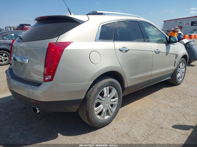 2010 CADILLAC SRX 3GYFNAEY4AS555067 Photo 3