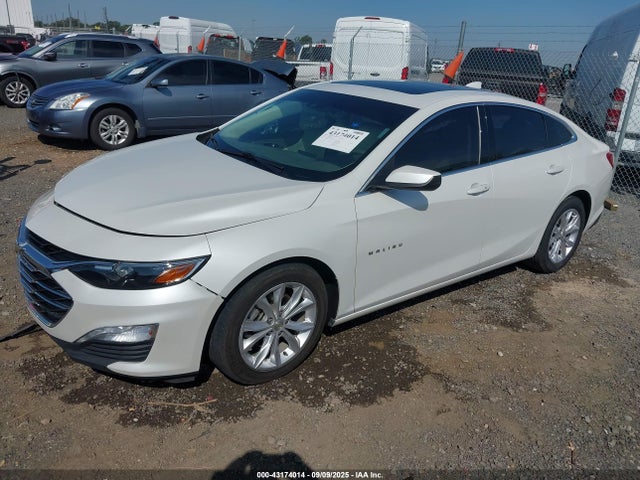 2019 CHEVROLET MALIBU 1G1ZD5ST4KF205927 Photo 1