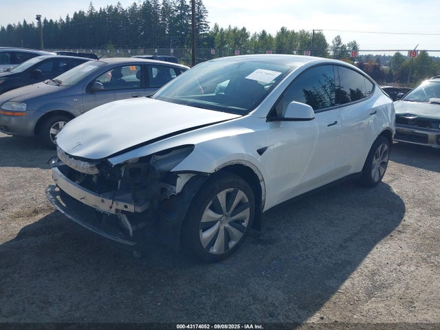 2023 TESLA MODEL Y 7SAYGDEE1PF814019 Photo 1